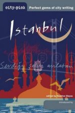 Istanbul CityPick