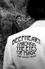 Beefheart Through The Eyes of Magic