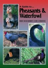 Pheasants and Waterfowl