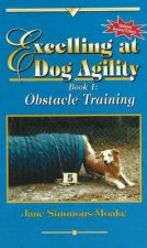 Excelling at Dog Agility