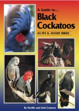 Black Cockatoos As Pet And Aviary Birds