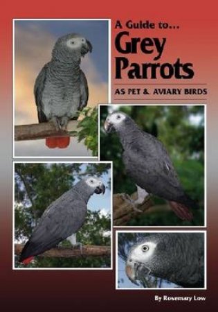 Grey Parrots as Pets and Aviary Birds by Rosmary Low