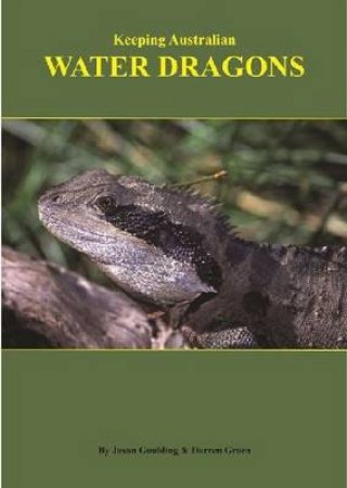 Keeping Australian Water Dragons