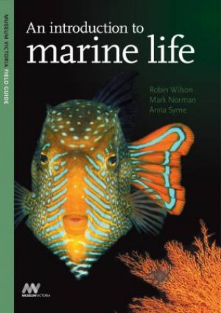 An Introduction to Marine Life by Robin Wilson & Mark Norman & Anna Syme