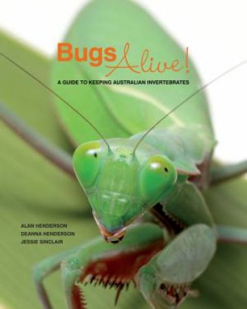 Bugs Alive: A Guide To Keeping Australian Invertebrates by Alan Henderson & Deana Henderson & Jessie Sinclair