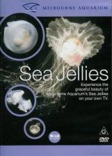 Sea Jellies Beautiful  Relaxing