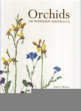 Orchids of Western Australia