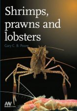 Shrimps Prawns and Lobsters