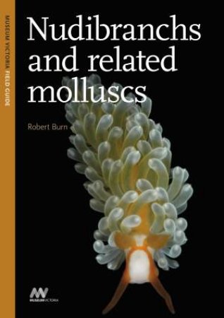 Nudibranchs and Related Molluscs by Robert Burn