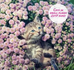 Cats in Small Places 2017 Diary by Various