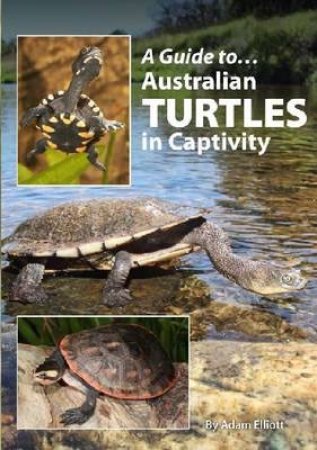 Australian Turtles In Captivity by Adam Elliott