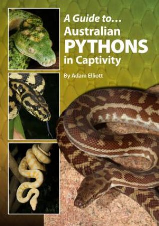 A Guide to Australian Pythons in Captivity by Adam Elliott