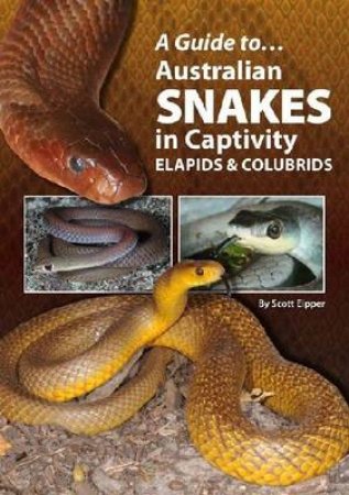 Australian Snakes In Captivity by Scott Eipper