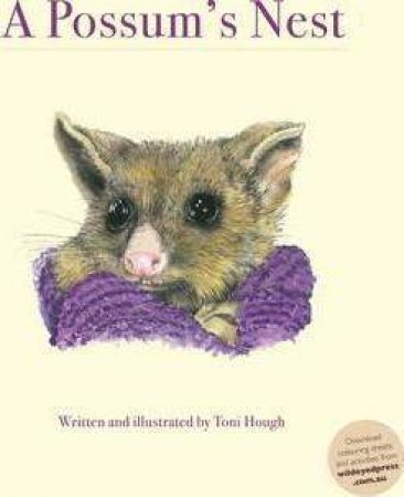 A Possum's Nest by Toni Hough