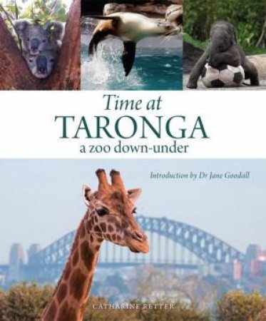 Time At Taronga by Catharine Retter