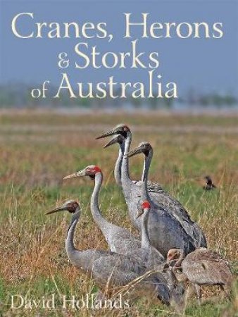 Cranes, Herons and Storks of Australia by Hollands David