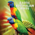 Exotic Australian Birds 2017 Calendar