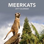 Meerkats 2017 Calendar