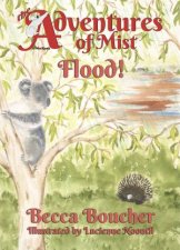 Adventures Of Mist Flood
