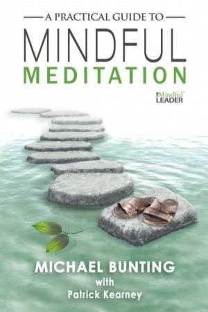 Practical Guide To Mindful Meditation by Michael Bunting & Patrick Bunting