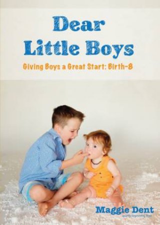 Dear Little Boys: Giving Boys A Great Start: Birth - 8 - DVD by Maggie Dent