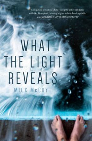 What The Light Reveals by Mick McCoy