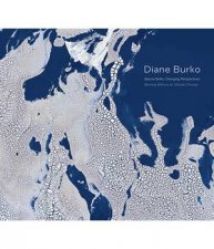Diane Burko Bearing Witness To Climate Change