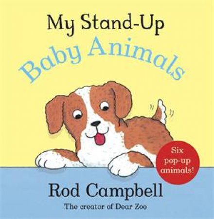 My Stand-Up Baby Animals by Campbell, Rod