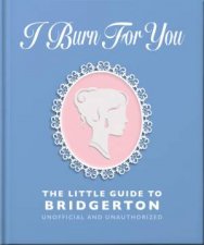 I Burn For You The Little Guide to Bridgerton