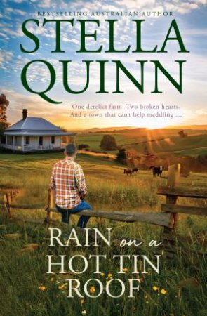 Rain on a Hot Tin Roof: A single dad and a town of matchmakers, 2026's funny new romance, perfect for readers of Karly Lane, from an award-winn by Stella Quinn