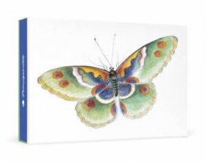 Butterfly Boxed Small Notecards by Pomegranate