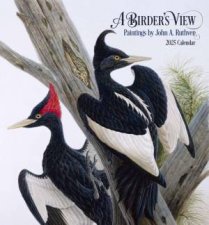 2025 A Birders View Wall Calendar