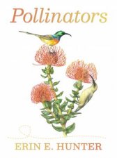 Pollinators Boxed Notecard Assortment