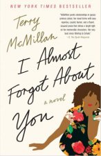 I Almost Forgot About You A Novel