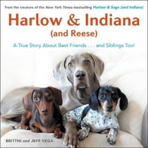 Harlow & Indiana  (and Reese) by Brittni Vega & Jeff Vega