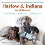 Harlow  Indiana  and Reese