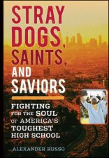 Stray Dogs Saints and Saviors Fighting for the Soul of Americas Toughest High School