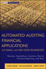 IT Auditing and Application Controls for Small and MidSized Enterprises