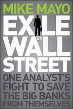 Exile on Wall Street One Analysts Fight to Save the Big Banks From Themselves