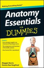 Anatomy Essentials for Dummies