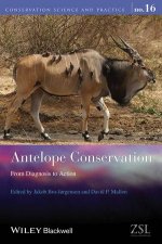 Antelope Conservation From Diagnosis To Action
