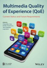Multimedia Quality of Experience Qoe  Current Status and Future Requirements