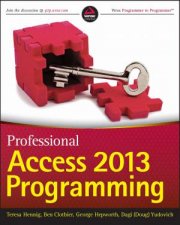 Professional  Access 2013 Programming
