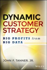 Dynamic Customer Strategy Big Profits from Big Data