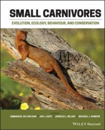 Small Carnivores by Emmanuel Do Linh San & Jun J. Sato & Jerrold L. Belant & Michael J. Somers