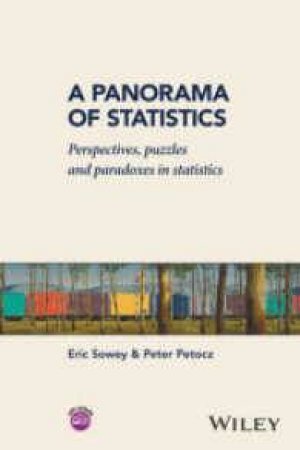 A Panorama Of Statistics: Perspectives, Puzzles And Paradoxes In Statistics by Eric Sowey & Peter Petocz