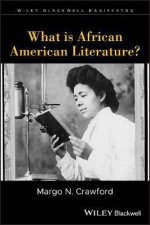 What Is African American Literature