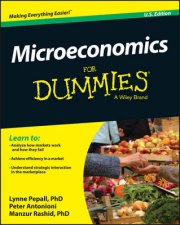 Microeconomics for Dummies USA Edition