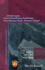 Field Guide To The Carboniferous Sediments Of The Shannon Basin Western Ireland