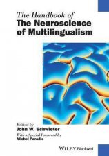 The Handbook Of The Neuroscience Of Multilingualism